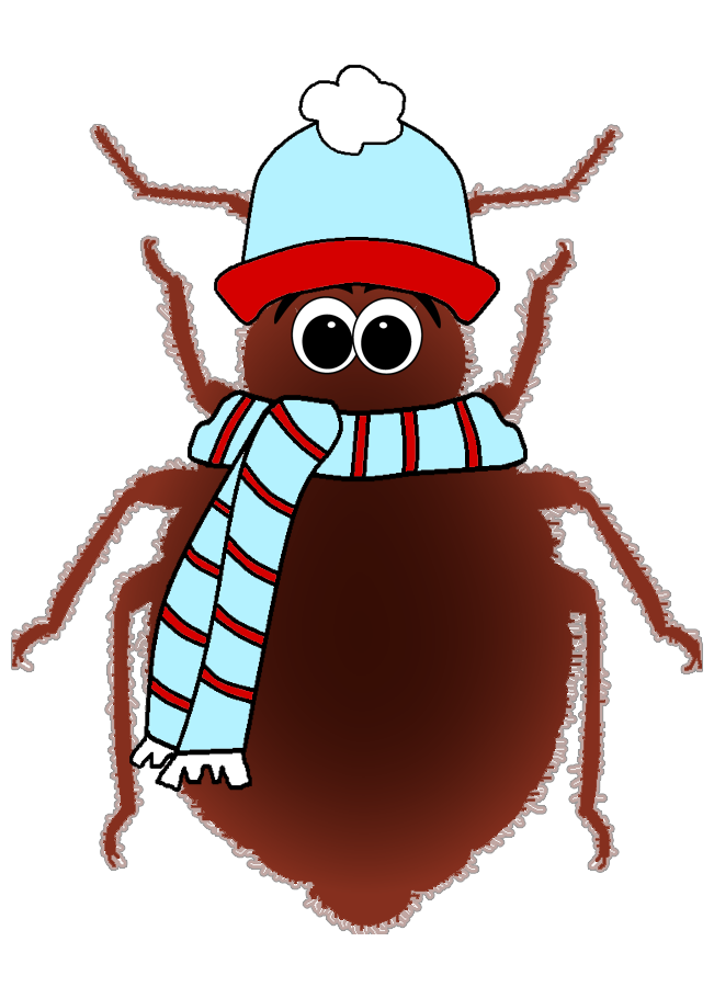 Gallery Images of Bed Bug Freezing