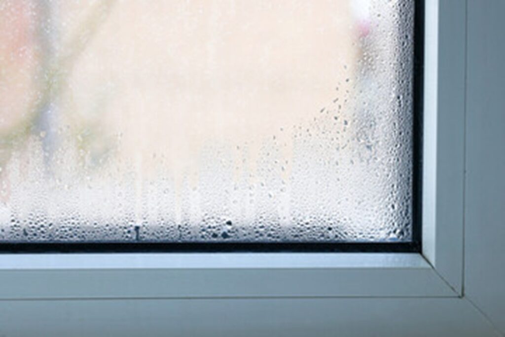 mold in the winter condensation