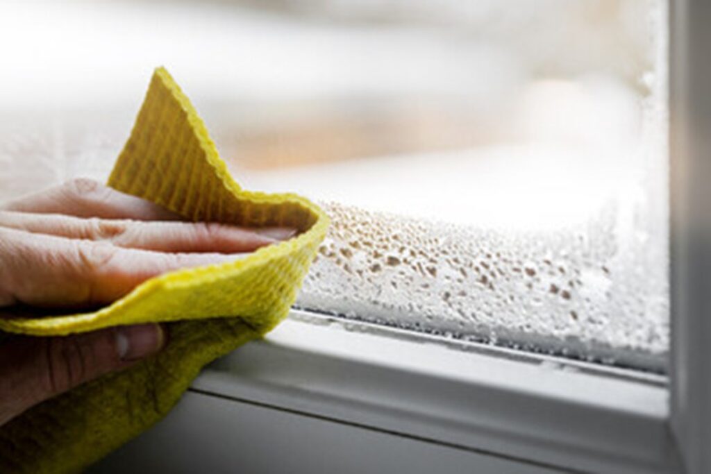 how to prevent mold in winter