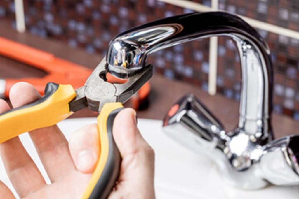 fix plumbing leaks to prevent mold in winter