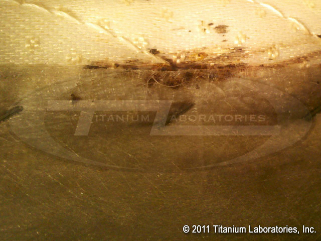 What do bed bugs look like?  Bed bug excrement on mattress seam
