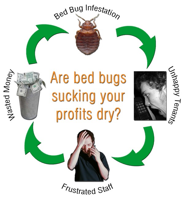 Commercial Bed Bug Exterminator Service by Titanium Laboratories