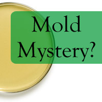 Test for Mold | Mold Mystery