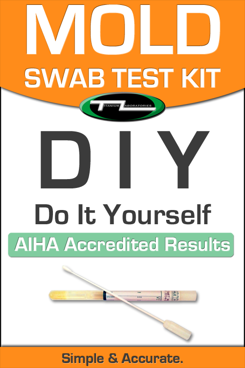 Do It Yourself Mold Test Kit (Swab Test)Product Image