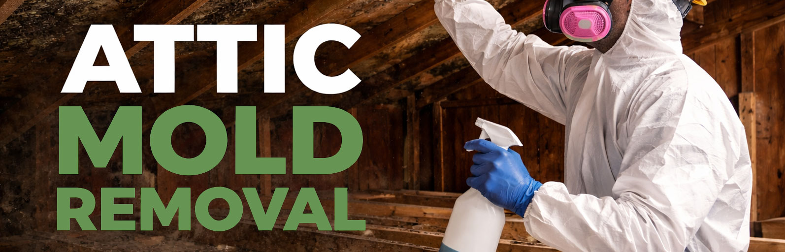 attic mold removal nutley nj