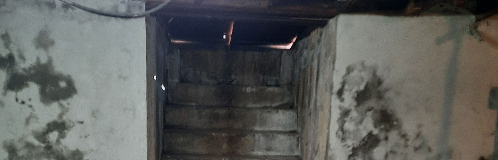 black mold removal nutley nj